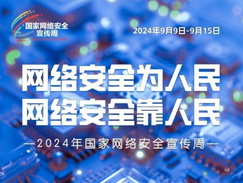 探寻枪花盛宴，2024年11月28日热门专辑深度解析与音乐盛宴回顾