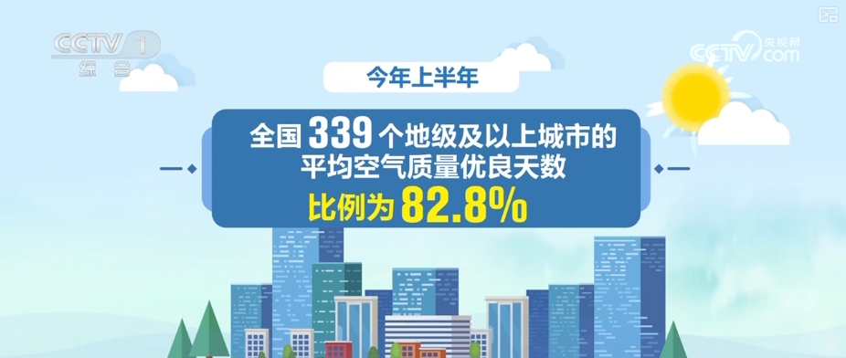 临桂司机最新招聘解析，全面解读招聘平台特性与体验（2024年11月28日）