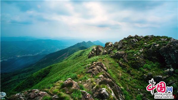 金色旅程，探寻自然美景，金立S8随行，最新市场价揭晓，内心的宁静就在此刻