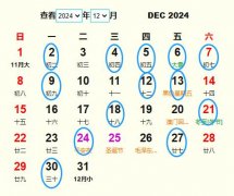 揭秘预测，七妹热门视频前瞻——2024年12月4日展望