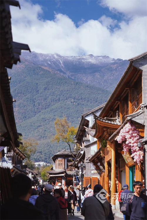 揭秘历史上的12月4日风花雪月，小红书带你重温时光之旅的最新消息揭秘