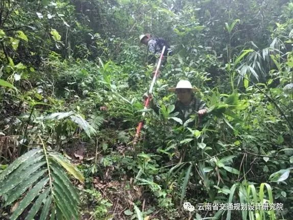 揭秘芒市梁河高速革新之旅，12月高科技导航系统的闪耀新星动态