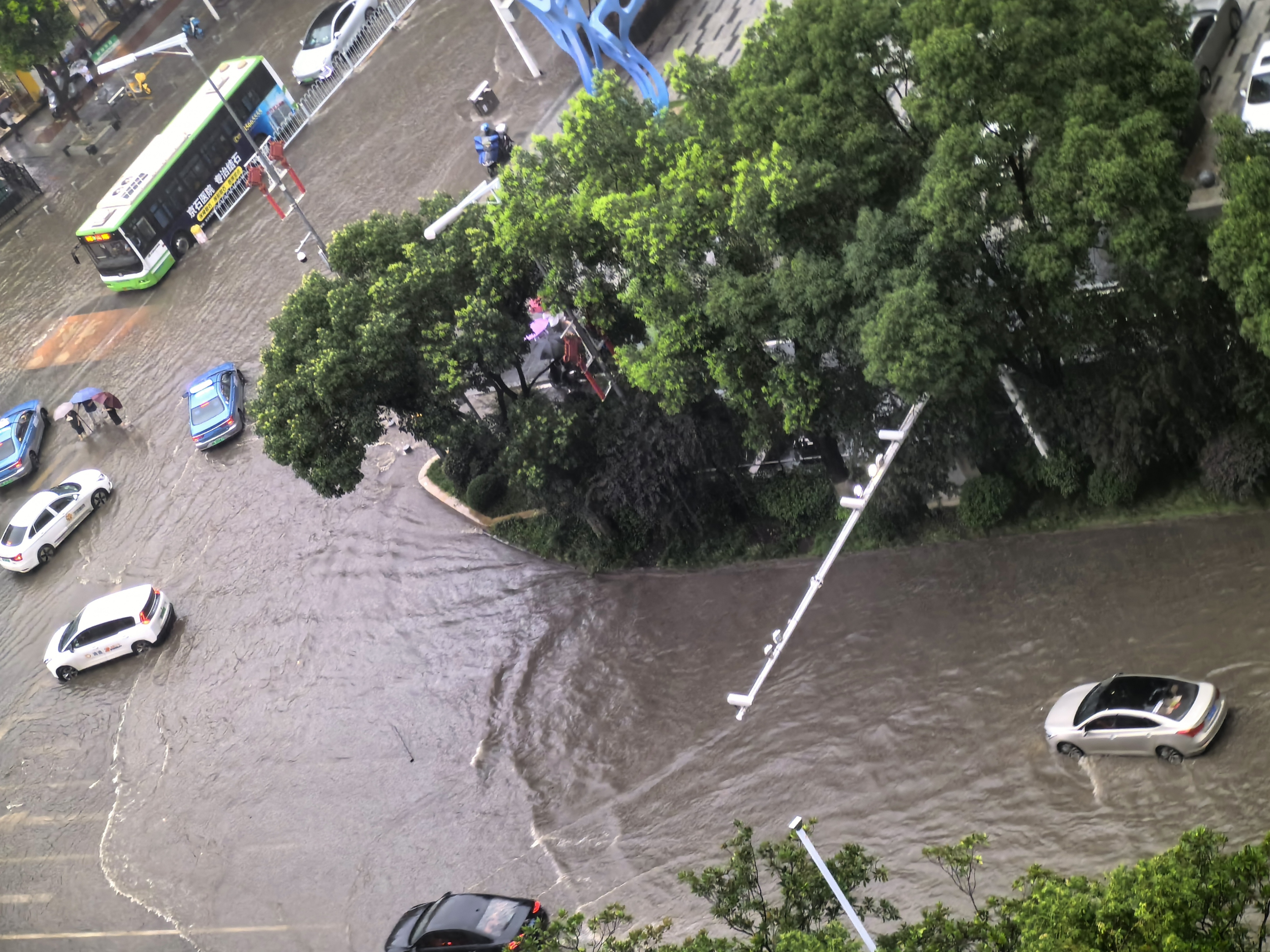 2024年12月6日湖北暴雨高考最新消息，2024年湖北暴雨影响下的高考最新动态