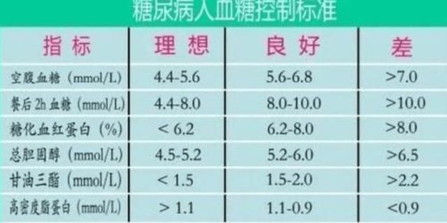 12月6日成都限号范围最新调整，城市变迁中的交通新规与持续学习步伐