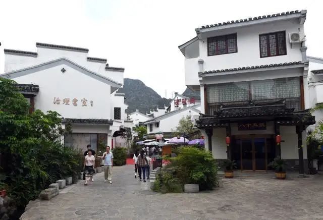 福冈小巷的独特小店，与新冠共存的奇妙冒险之旅