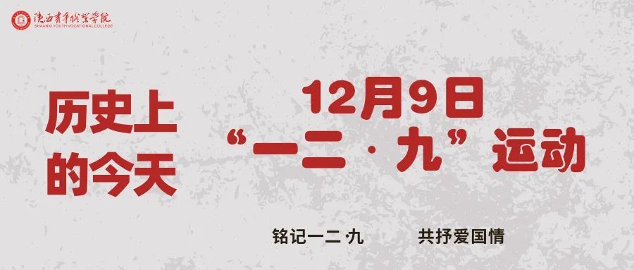 如何查看历史上12月9日直播实时数据？详细步骤教程标题推荐，观看历史直播数据指南，揭秘如何查看特定日期直播实时数据记录（以12月9日为例）