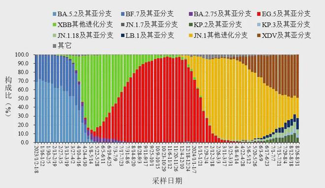 2024年深圳之行，自然怀抱下的心灵探寻与新冠疫情实时观察