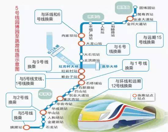 12月9日五号线最新消息实时详解与深入评测