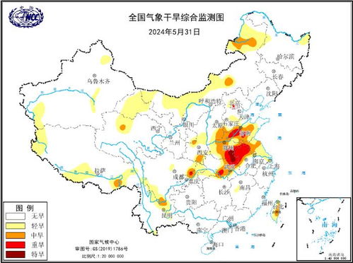 历史上的12月10日中央实时疫情深度分析与观点阐述