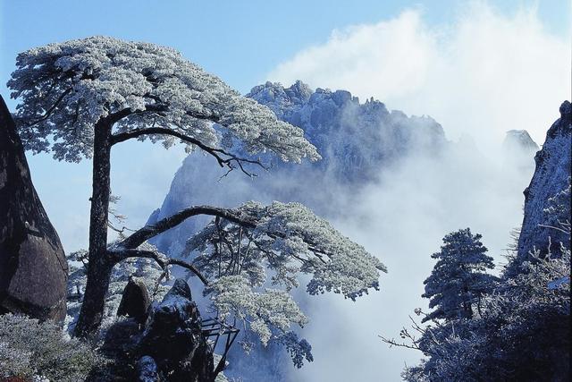 黄山秘境探寻与小巷特色小店，12月10日旅游直播纪实