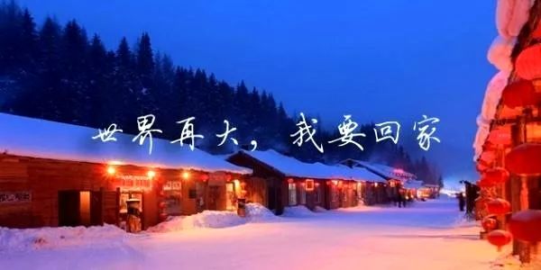 雪夜封路下的高速奇遇，实时路况与温馨路上的故事