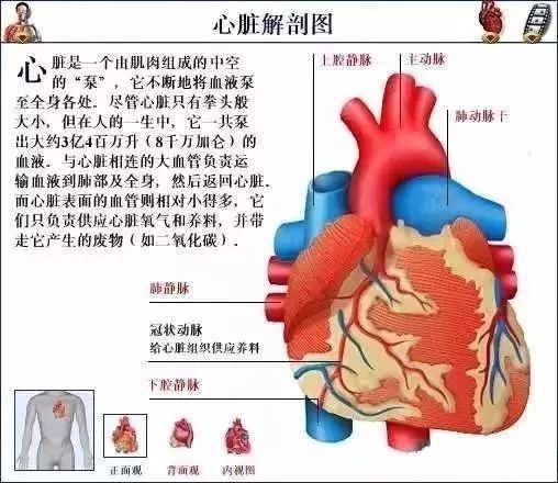 历史上的12月14日心脏监测实时报告书写指南与评测，如何撰写完整报告的综合指南