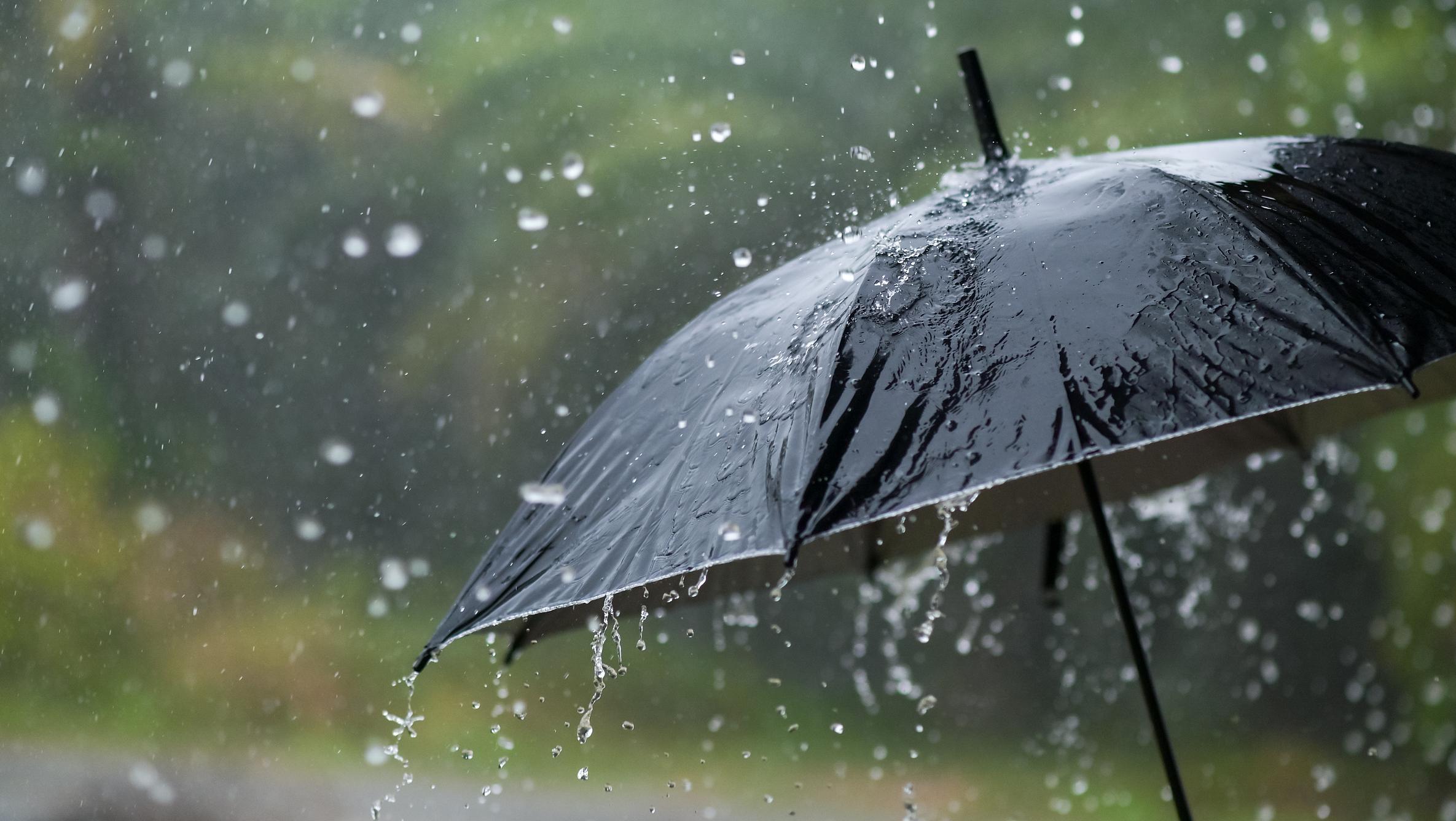 温馨雨遇，12月14日实时降雨壁纸与快乐时光