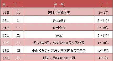 独家爆料，揭秘12月18日最火实时在线融媒体平台TOP榜