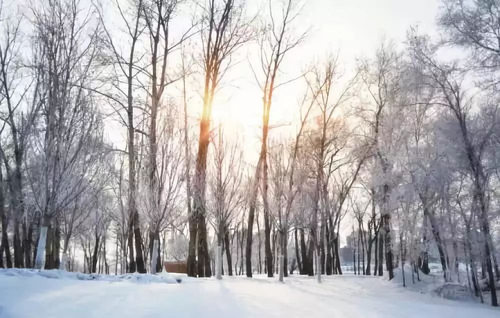 12月冬天金顶绝美实时画面，冰雪童话世界的梦幻之旅