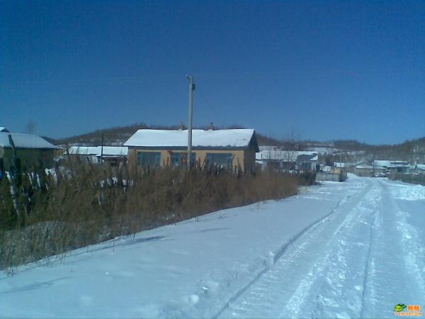 12月18日东北实时雪景下的心灵之旅，探寻冬日宁静的东北雪域之旅