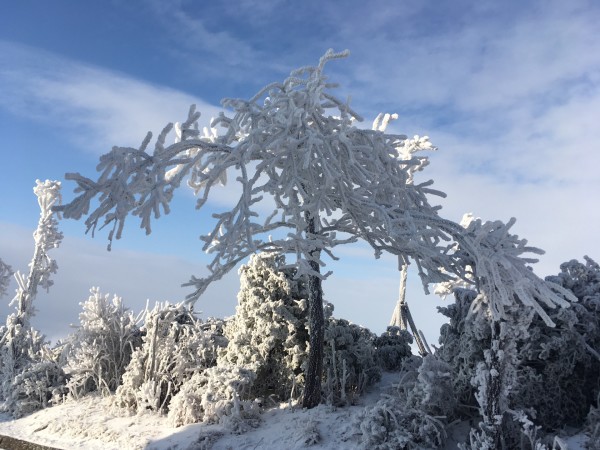 雾凇衡山之旅，探索天气的魅力与自我成就感的源泉