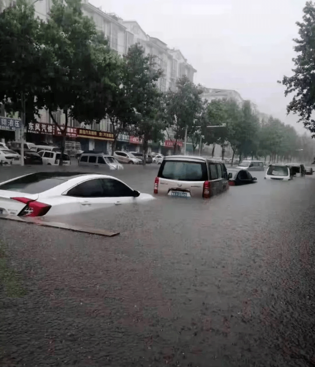 临沂降雨实时动态图，雨舞乐章与成长之旅自信展现