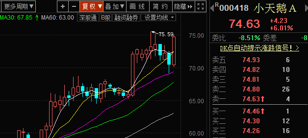 2024年牛股风云再起，股市实时观察与深度剖析（12月22日更新）