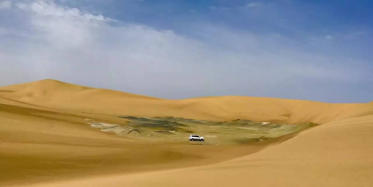 丧尸末日背后的宁静与力量，全球实时地图丧尸图片与自然美景之旅