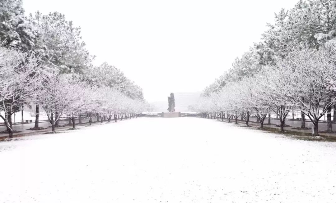 探索唐河未知之美，2024年12月22日唐河雪景实时直播回放与赏析