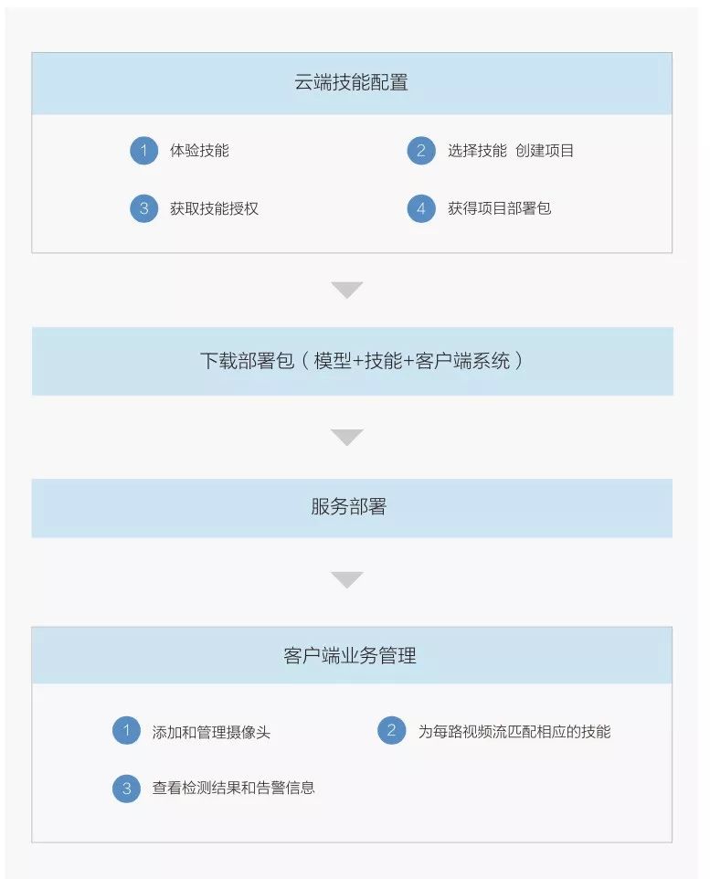 初学者必备，12月22日蘑菇视频免费下载全攻略及实时追踪下载体验