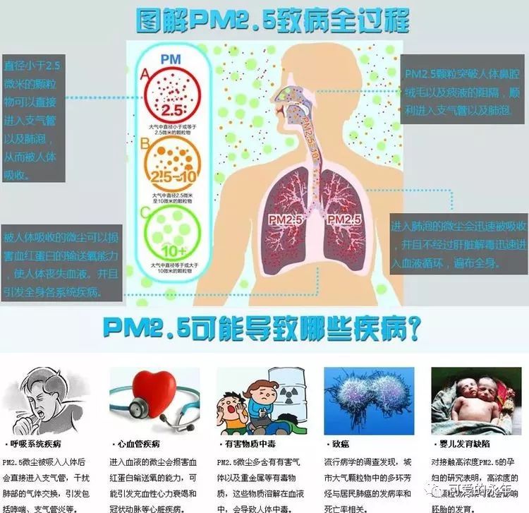 平度PM2.5背后的暖心故事，蓝天奇缘与冬日空气质量实时查询