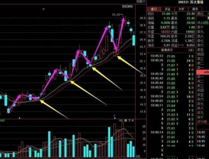 电热宝批发价格深度解析，一文掌握市场行情