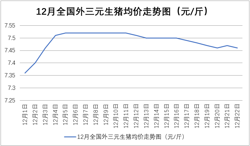 最新生猪价格行情分析（XX月XX日）