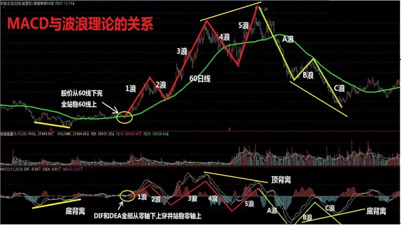 蚂蚁集团股价行情解析，深度探讨股价走势与投资机会