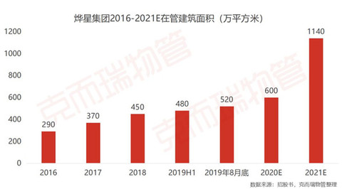 烨星集团股票，深度探索与未来前景展望