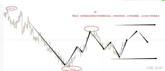 湖北鳝鱼批发行情走势大揭秘，最新行情走势图及市场分析