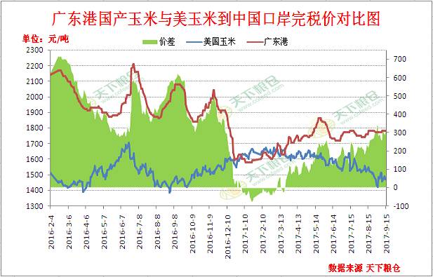 临朐满天星幼苗市场走势分析，行情展望与趋势解读