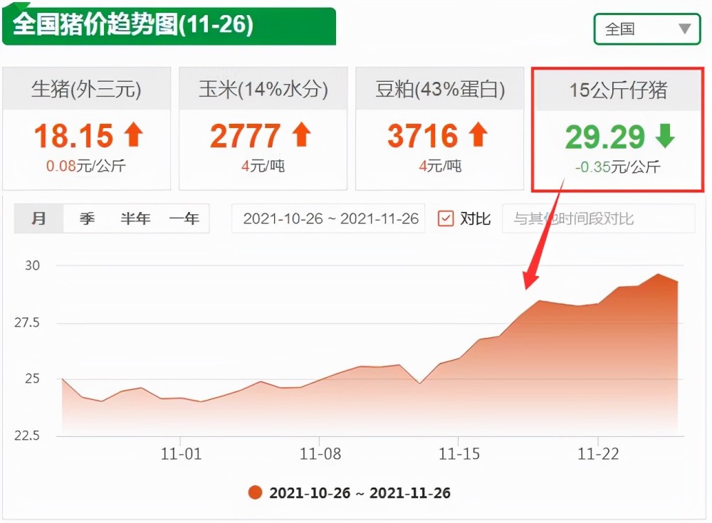 小猪市场走势解析，最新行情报告揭示小猪价格动态（最新行情分析）