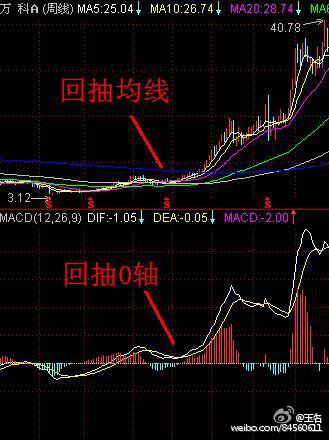 投资世界探索指南，股票投资领域的明灯灯塔