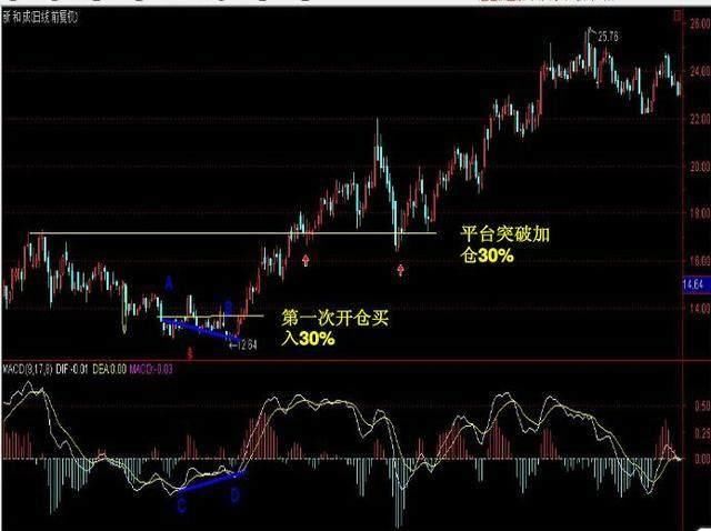 揭秘代码519O69背后的股市故事，深度行情分析！