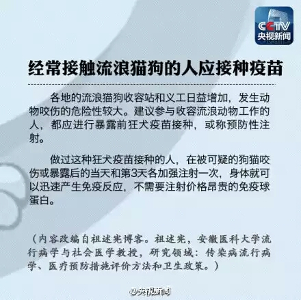 揭秘狂犬疫苗价格真相，全面解读费用，让你一目了然！