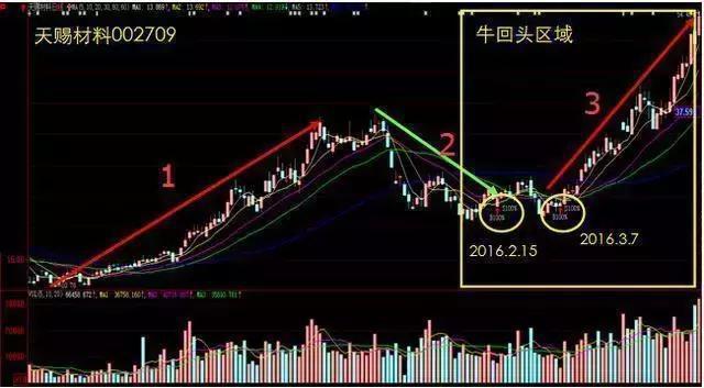 大智慧行情最新解析，今日股市走势一网打尽