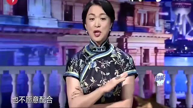 揭秘娱乐圈真相，明星假恩爱背后的迷雾天涯！