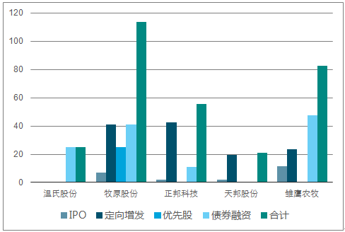 关于生猪目标价格的深度分析与探讨，洞悉行业趋势，洞悉价值所在