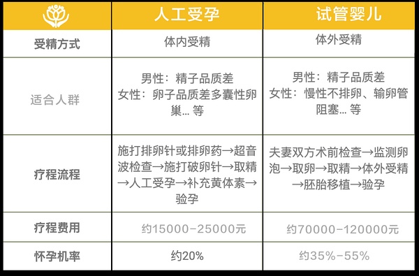 人工受孕费用全面解析，深入了解与实惠选择