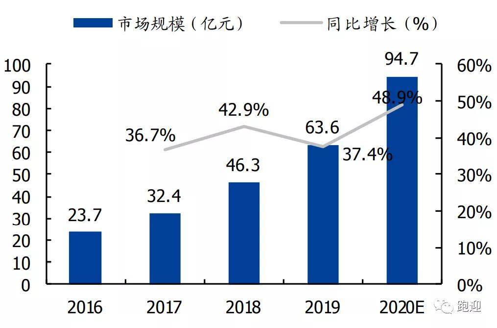 股票分红会亏吗？深度解析分红背后的影响因素与风险！