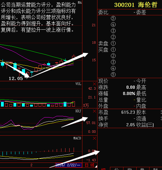 海伦哲股票深度解析，探寻潜力股的背后力量