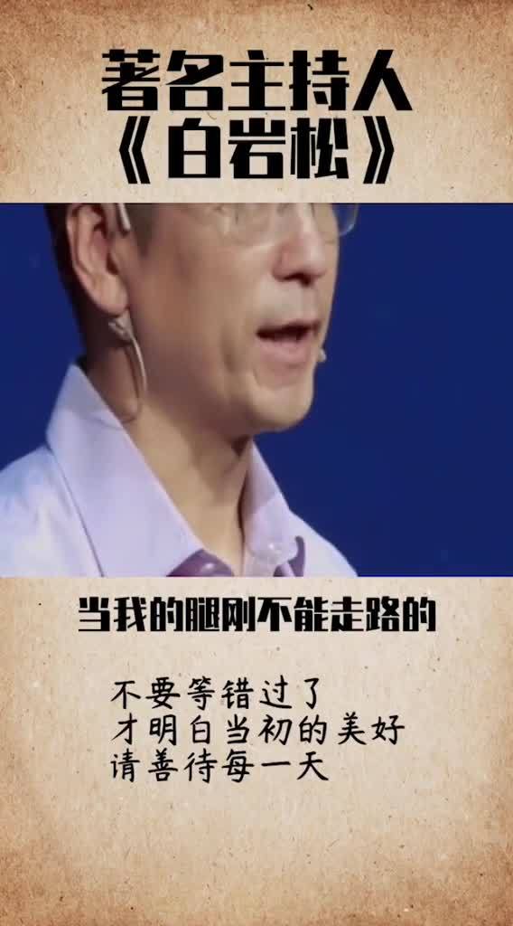 白岩松励志语录，坚持与追求的人生之道