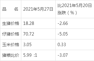 天桥区二手叉车市场深度解读，最新行情分析与趋势预测