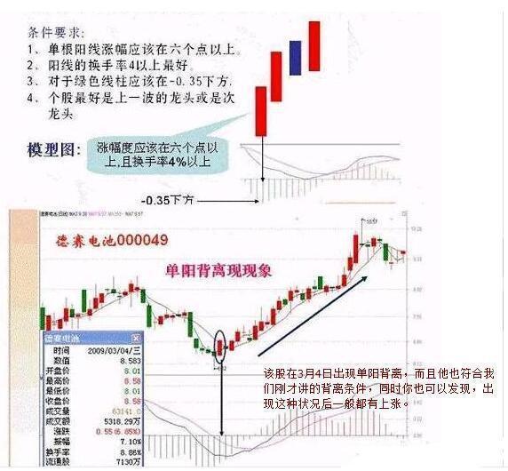 广州证券股票收益揭秘，投资之道与市场趋势洞察