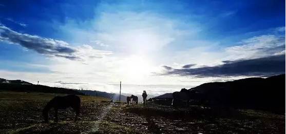 人文旅游攻略的目的与意义，深度解读文化与旅行的完美结合