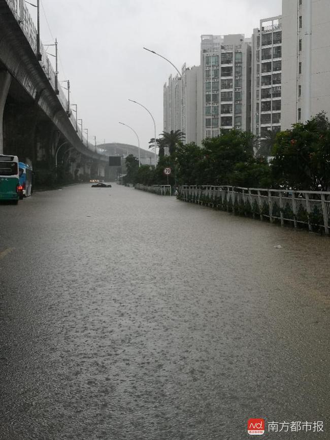 泰州暴雨实况视频，最新消息全市视角关注