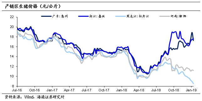 四川黄豆价格走势揭秘，市场现状与影响因素深度解析