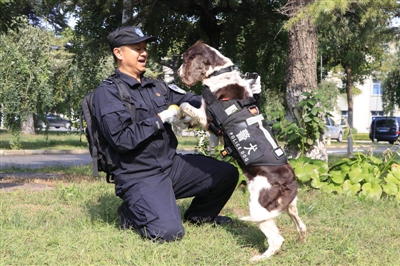 警犬突发疾病，警犬障碍 